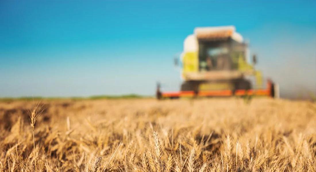 Сельхозпроизводители Краснодара получили поддержку в объеме 250 млн рублей
