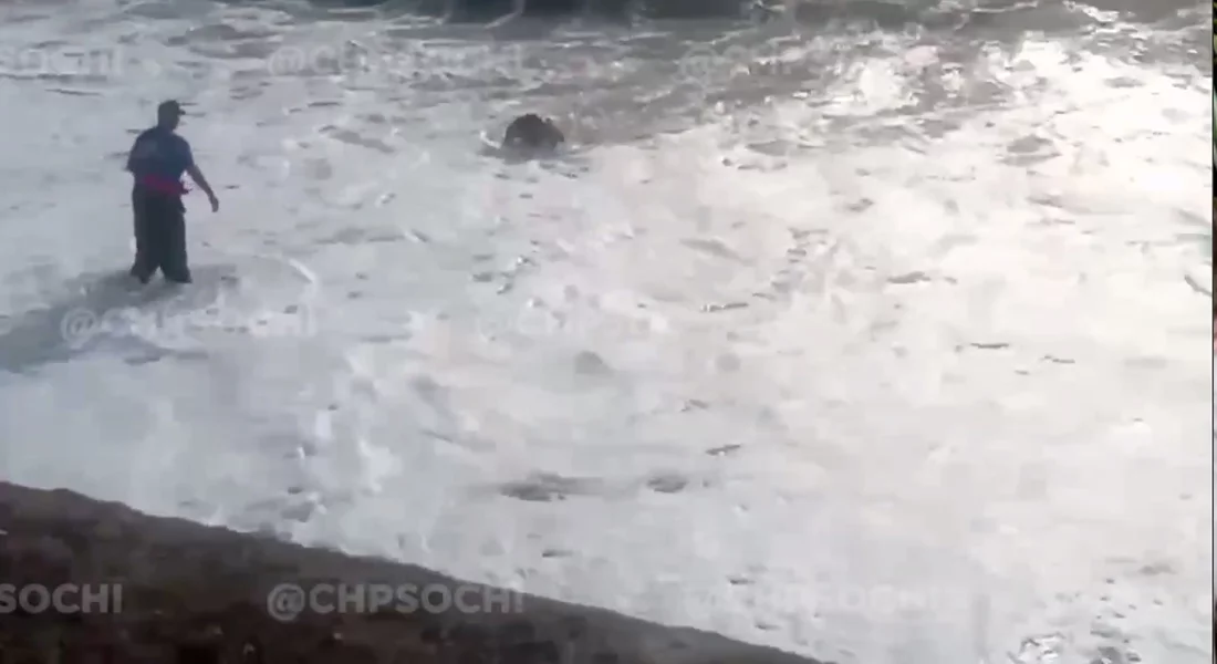 В Сочи во время шторма в море утонул мужчина