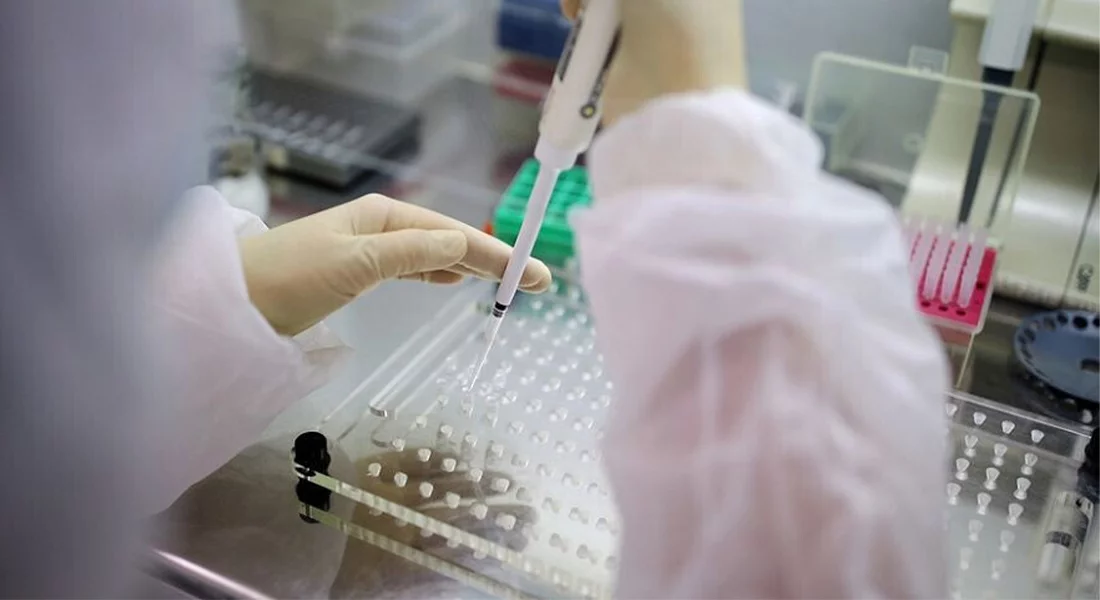 В Краснодарском крае за сутки выявили 185 случаев коронавируса